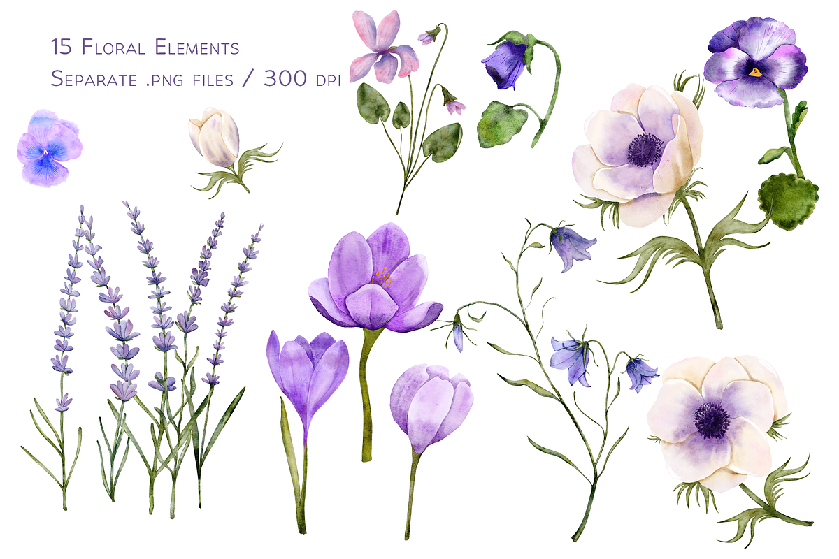 In Violet Watercolor Set, a Decorative Illustration by Aurella Art (Photo 2 of 17)