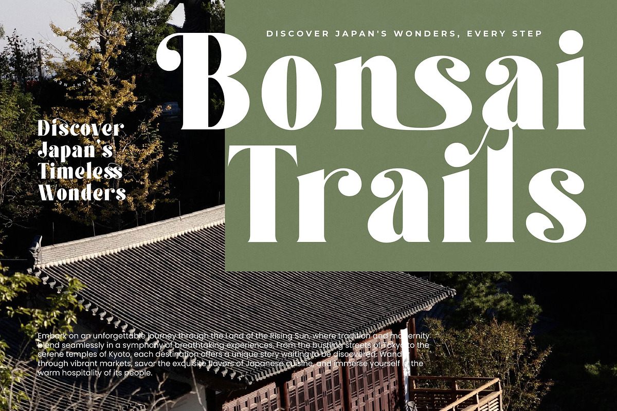 Forest Sunrise Bold Display Serif, a Serif Font by timelesstype.co (Photo 15 of 20)