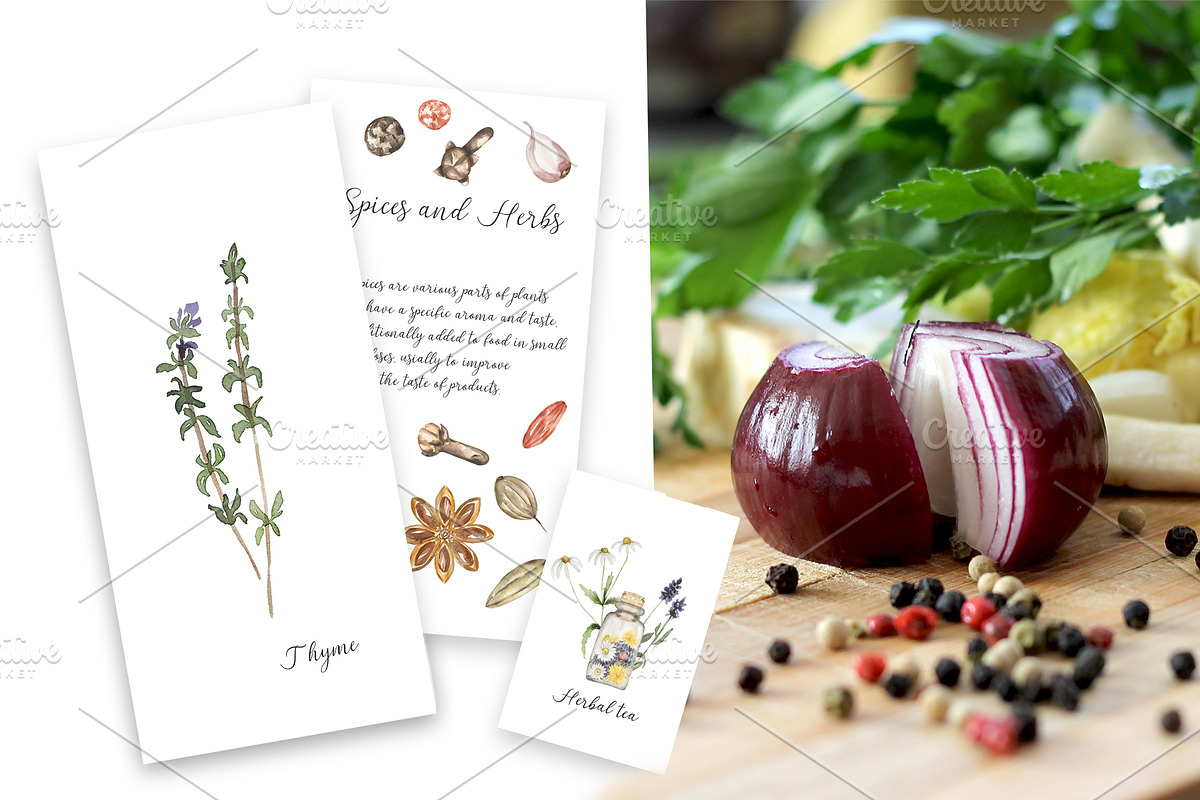 Watercolor Herbs and Spices, a Food Illustration by MayaNavits (Photo 8 of 13)