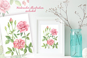 Wild Roses Watercolor Set, a Decorative Illustration by Irina Diasli (Thumbnail 7 of 9)