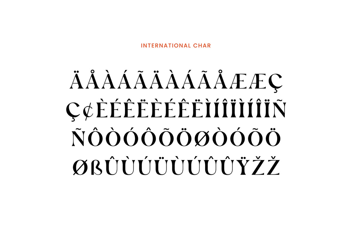 Xander Swordfish Ligature Serif Font, a Serif Font by UICreative (Photo 7 of 13)