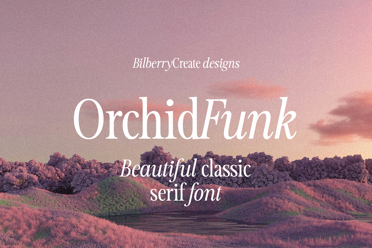 OrchidFunk - Classic Serif Font, a Serif Font by BilberryCreates (Photo 1 of 14)