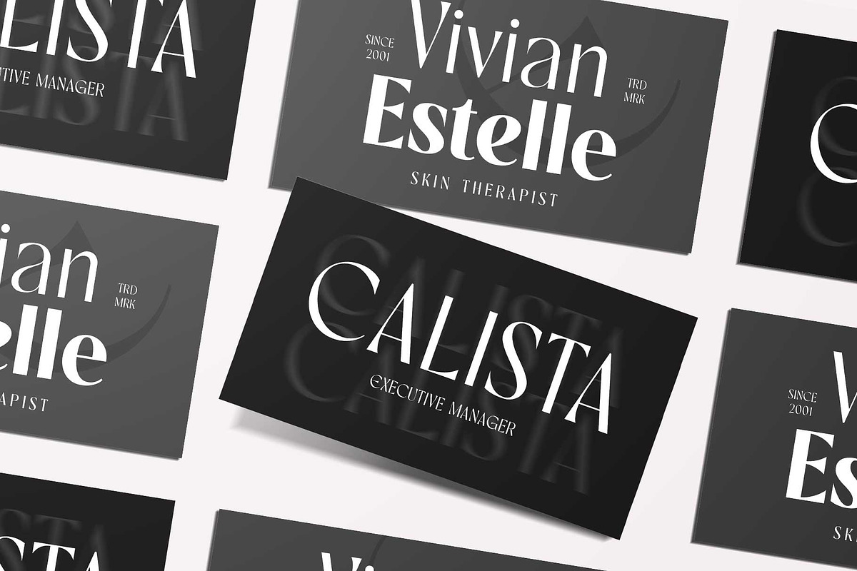 Rovaney - Fancy Font Family, a Serif Font by Arterfak Project (Photo 4 of 15)