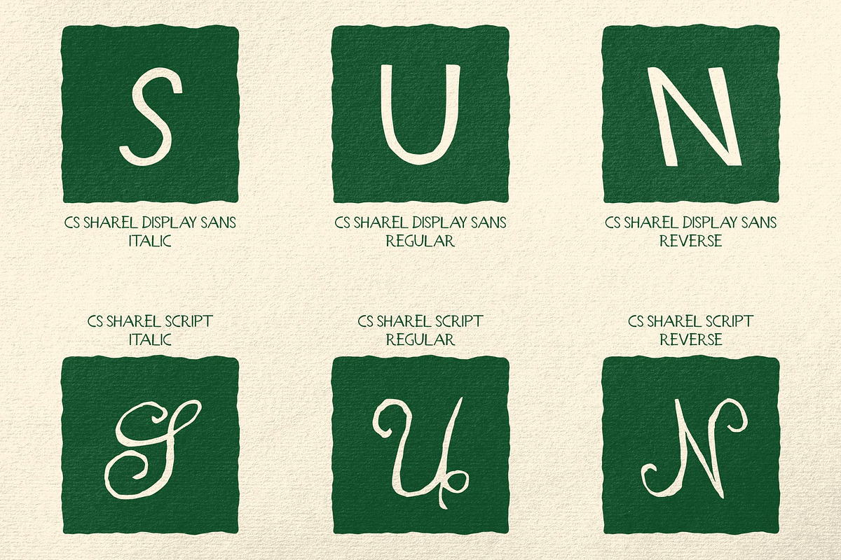 CS Sharel - Font Duo, a Script Font by Craft Supply Co. (Photo 2 of 8)