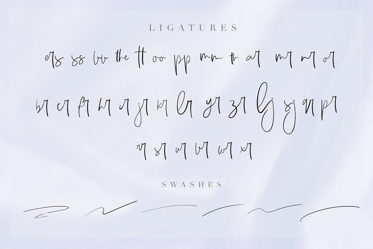 White Winter, a Script Font by Chocotype Std (Photo 13 of 15)