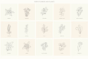 Birth-Flowers. Trendy Plants, Logos, a Seasonal Illustration by Designwork (Thumbnail 4 of 21)
