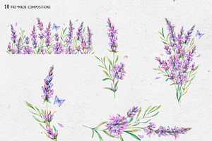 Watercolor Lavender Clip Art