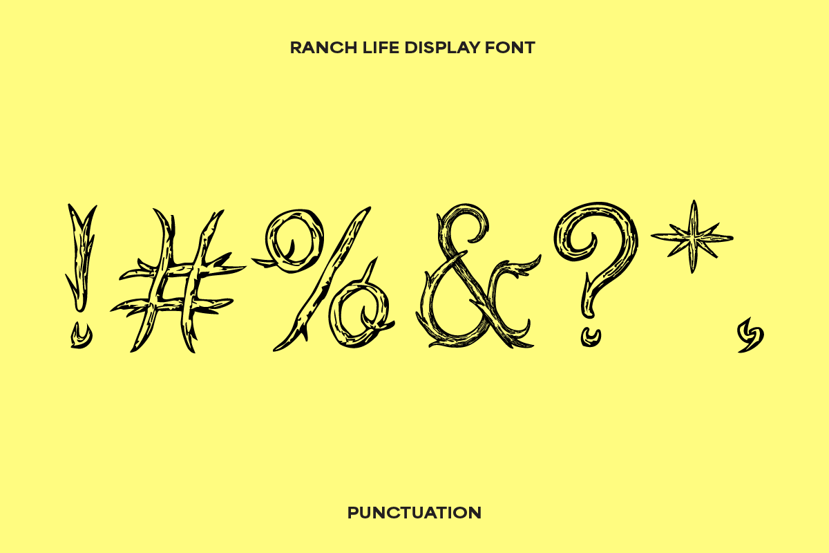 Ranch Life Western Display Font, a Handwritten Font by Sarah Baker (Photo 6 of 8)