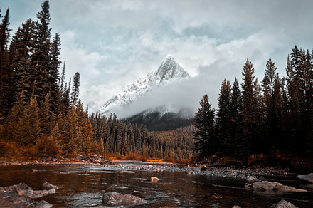 Guys adventure trip hike wilderness