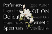 Neue Mylon - 21 Fonts, a Sans Serif Font by Nasir Udin (Thumbnail 3 of 14)