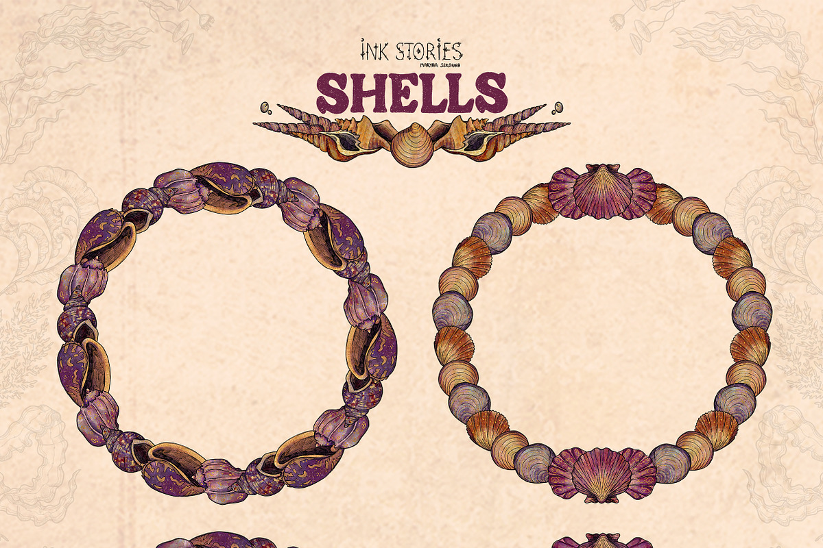 Shells, an Animal Illustration by Ink Stories (Photo 5 of 21)