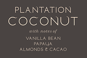 Stamford font family, a Sans Serif Font by LostandFoundry (Thumbnail 5 of 11)