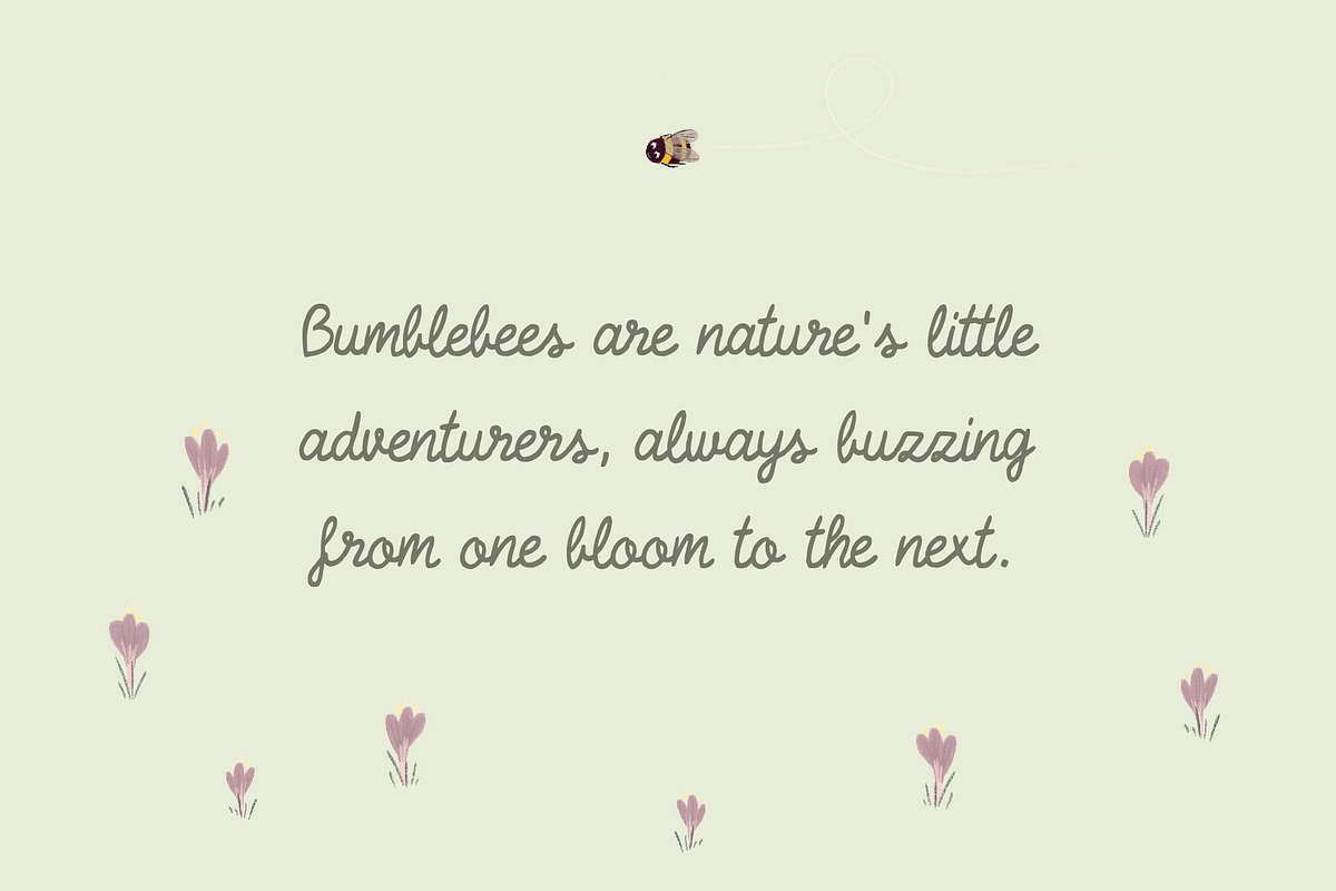Sleepy Bumblebee, a Script Font by Jelena Sardi (Photo 3 of 4)