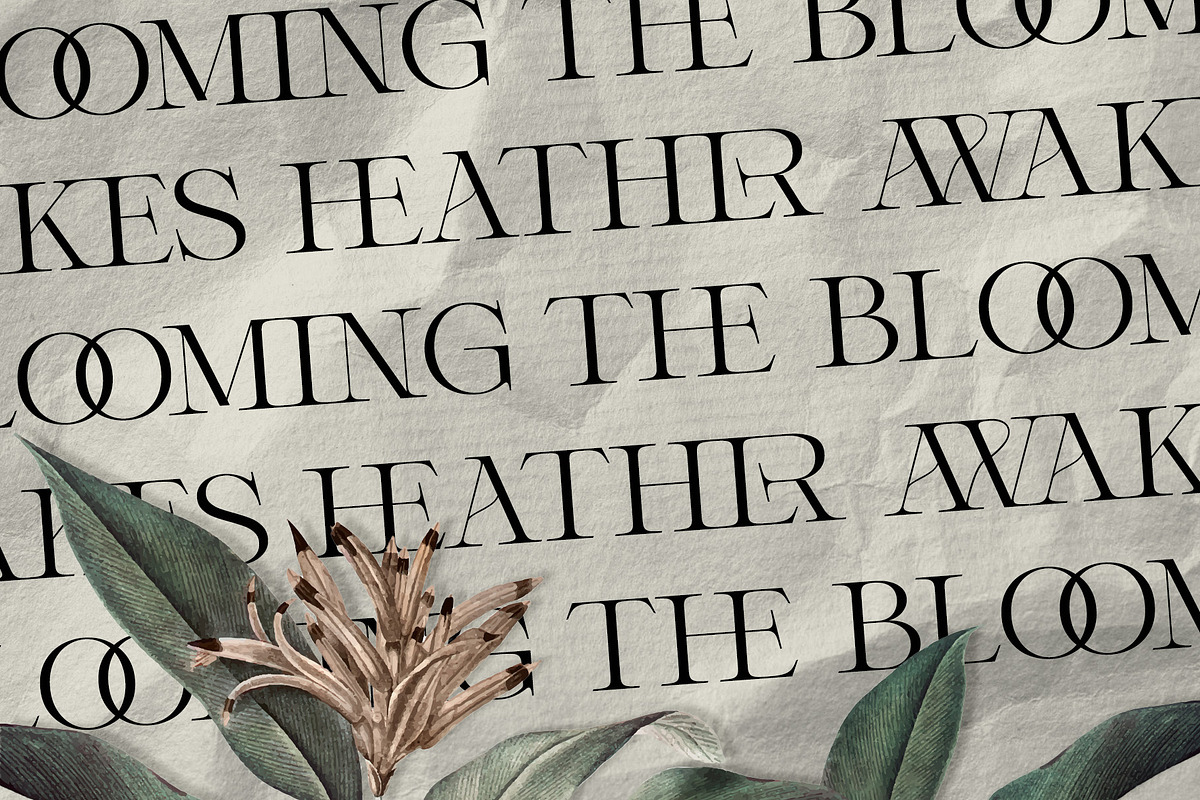 Winter Solace – Calligraphic Serif, a Serif Font by Krismagraph (Photo 6 of 10)