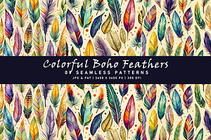 Colorful Boho Feathers