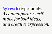 Agrestin, a Serif Font by Black Studio (Thumbnail 10 of 15)