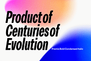 Premis Straightforward Sans Family, a Sans Serif Font by Fenotype (Thumbnail 7 of 13)