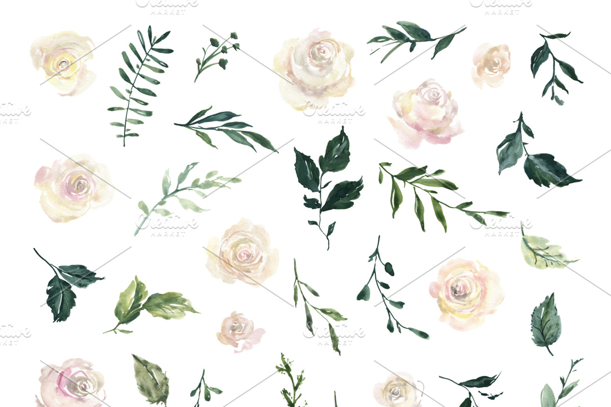 Watercolor White Roses Flowers, an Illustration by GraphicsDish