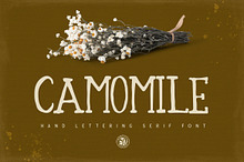 Camomile