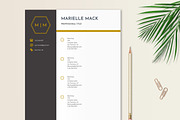 Elegant Resume Template, a Resume Template by Stanin Studio (Thumbnail 6 of 10)