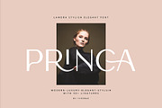 Lamora – Luxury & Modern Logo Font, a Sans Serif Font by Typebae (Thumbnail 4 of 12)