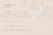 Tranquilo Boho | Font Duo, a Script Font by Vanem Studio (Thumbnail 11 of 14)