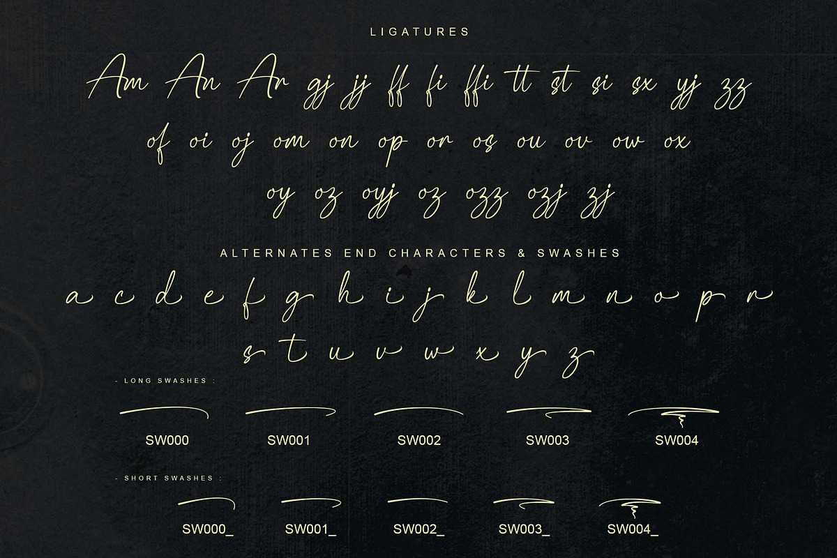 Palisade | Handwritten, a Handwritten Font by Aveni Letter Type (Photo 11 of 15)