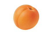All Fruits Bundle Master Collection, a Food & Drink Photo by FlyeredTemplate (Thumbnail 21 of 130)
