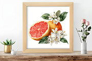 Watercolor Flower And Orange Clipart, an Illustration by DreamCafeArt (Thumbnail 6 of 7)