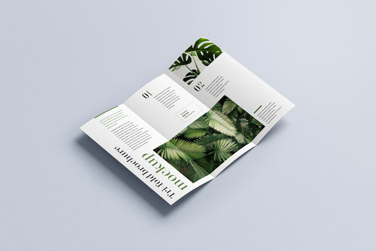 Trifold Brochure Mockup, a Print Template by mockupatelier (Photo 8 of 15)
