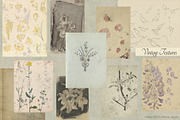 Vintage Museum Collage Elements Pack, an Object Graphic by Oksana Trygub (Thumbnail 22 of 29)