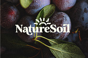 Analogue - Humanist Retro Serif, a Serif Font by Harmonais Visual (Thumbnail 14 of 29)
