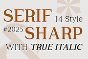 Cirvia Timeless & Fresh Serif Family, a Serif Font by Lettertype Studio (Thumbnail 15 of 15)
