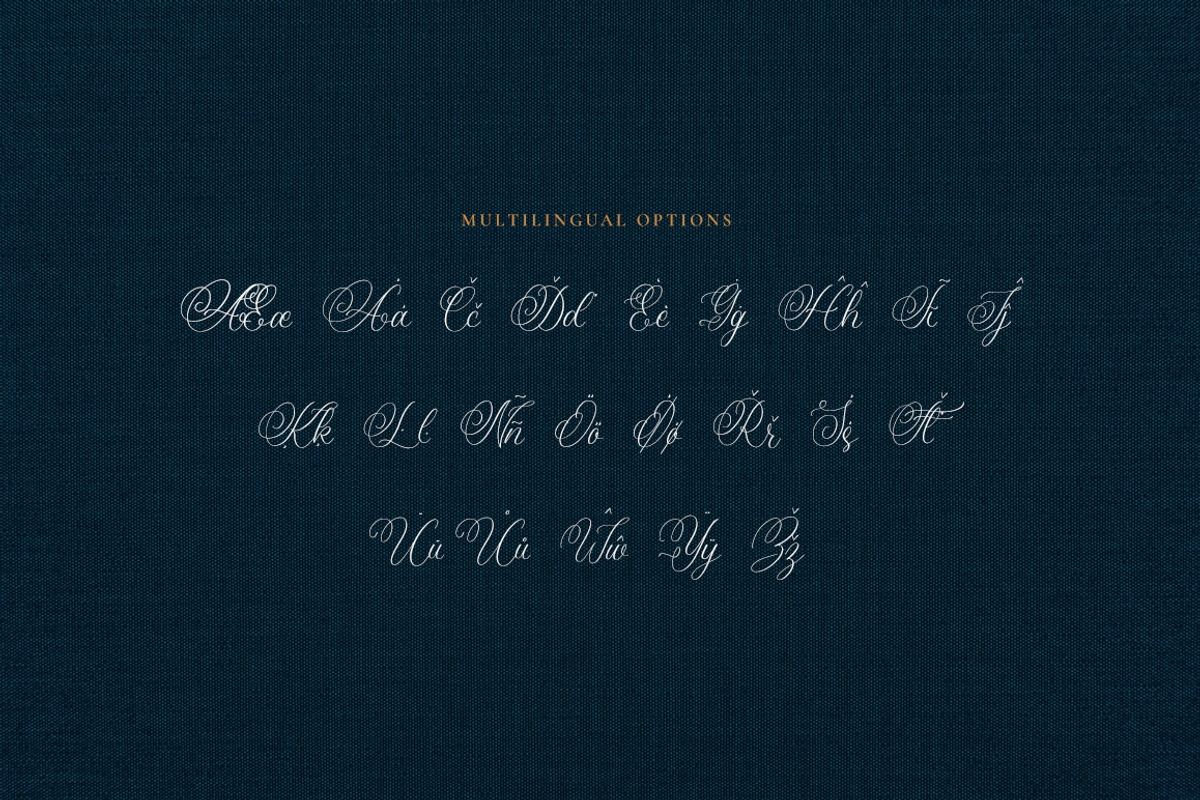 Amanda Calligraphy, a Script Font by RockboyStd (Photo 10 of 12)