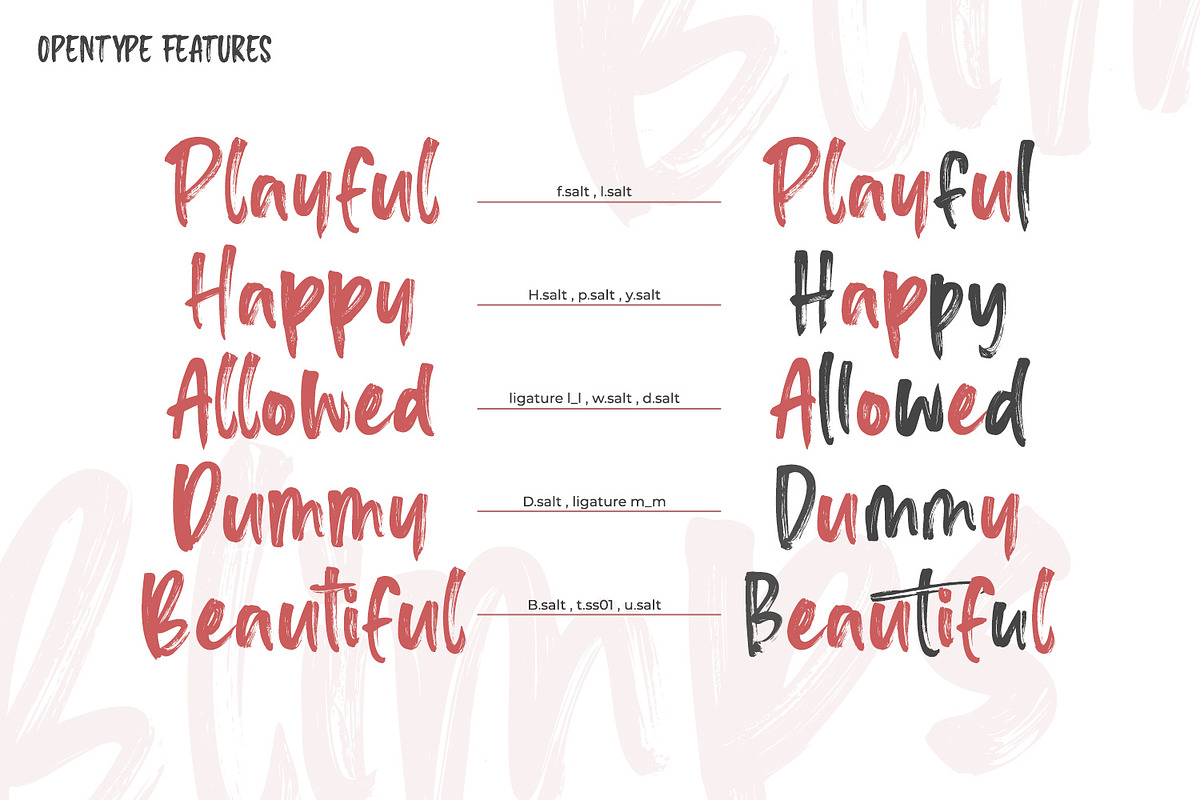 Blimps, a Script Font by din-studio.com (Photo 8 of 10)