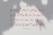 Amaterla Farmosa Casual Handwritten, a Script Font by Denustudios (Thumbnail 5 of 8)