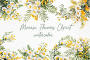 Mimosa Spring Flowers Clipart Daisy, a Decorative Illustration by LeCoqDesign (Thumbnail 1 of 4)