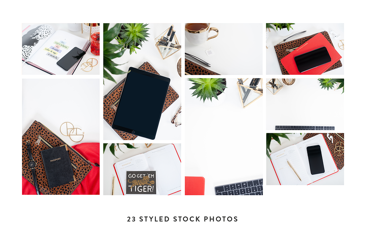 Fierce Boss Lady Styled Stock Bundle, a Photo by Jessica Rea (Photo 3 of 5)