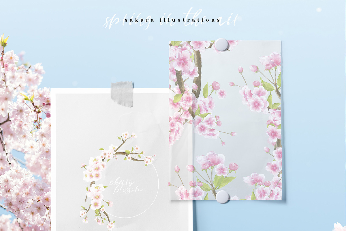 Sakura | Cherry Blossom Florals, an Illustration by January Bloom (Photo 10 of 11)