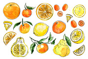 Food watercolor. Fruits and berries, a Food Illustration by irina.vaneeva (Thumbnail 4 of 10)