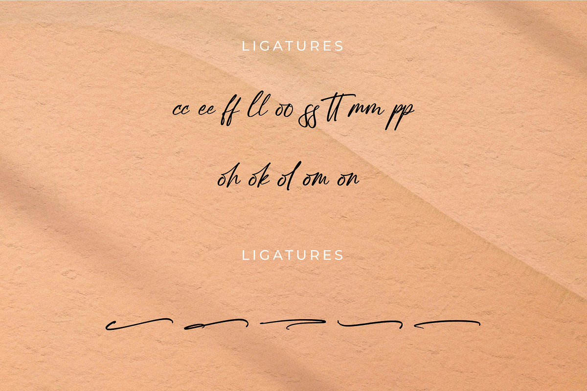 Poleemanik, a Script Font by Integritype Studio (Photo 12 of 15)