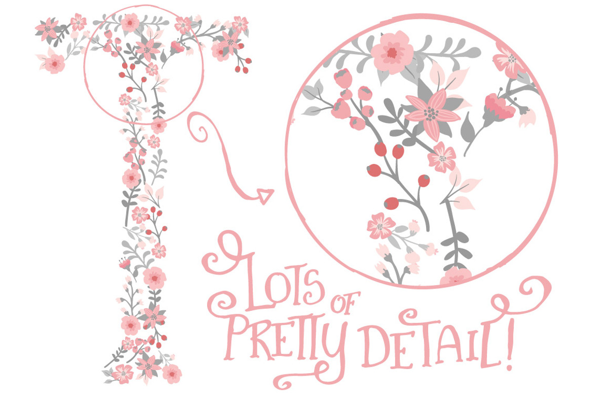 Pink & Grey Floral Alphabet Vectors, an Illustration by Amanda Ilkov (Photo 5 of 5)