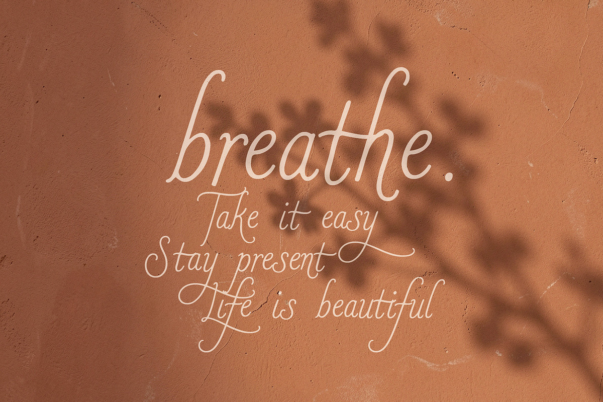 Romanster Merkuria - Elegant Script, a Handwritten Font by HypeWorksCo (Photo 9 of 16)