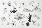 Hand Drawn Flower World, an Illustration by Suvham Roy (Thumbnail 6 of 7)