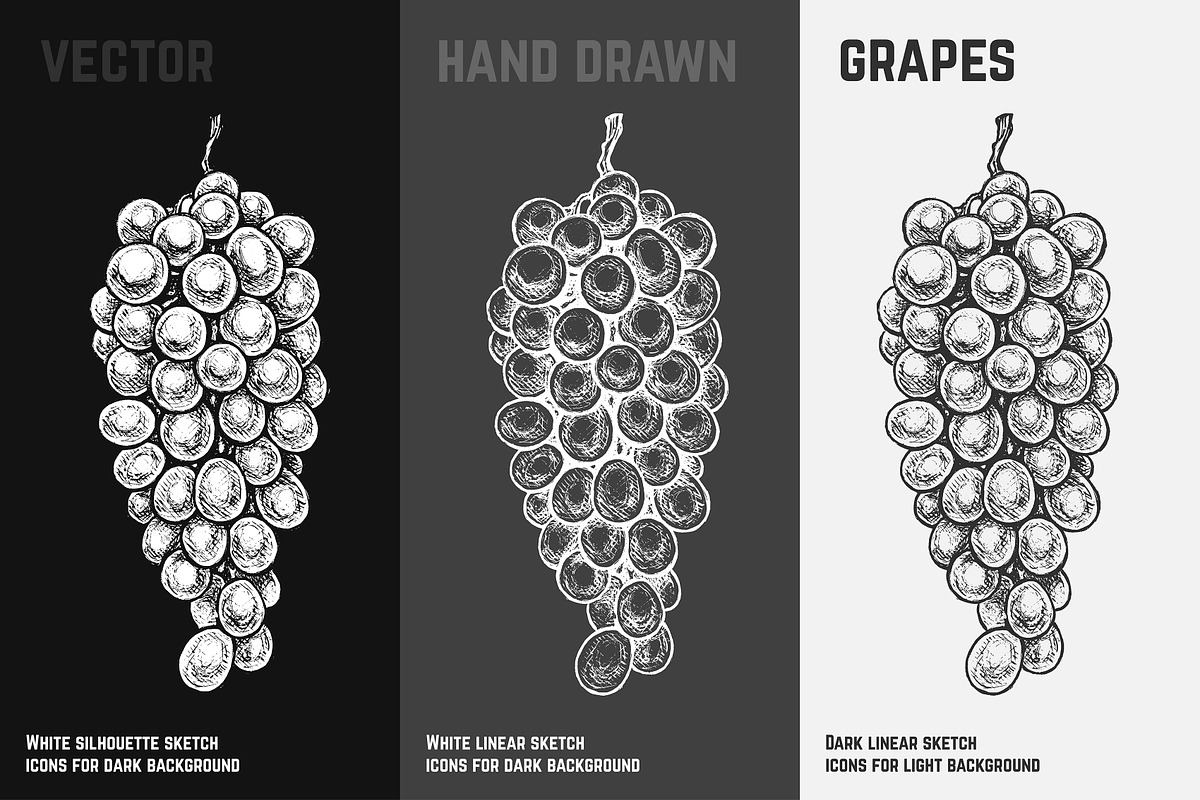 Fruits - hand drawn vector set, a Food Illustration by Margo Miller (Photo 19 of 25)