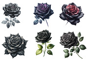 Watercolor black rose Clipart, an Illustration by Designworld (Thumbnail 4 of 5)