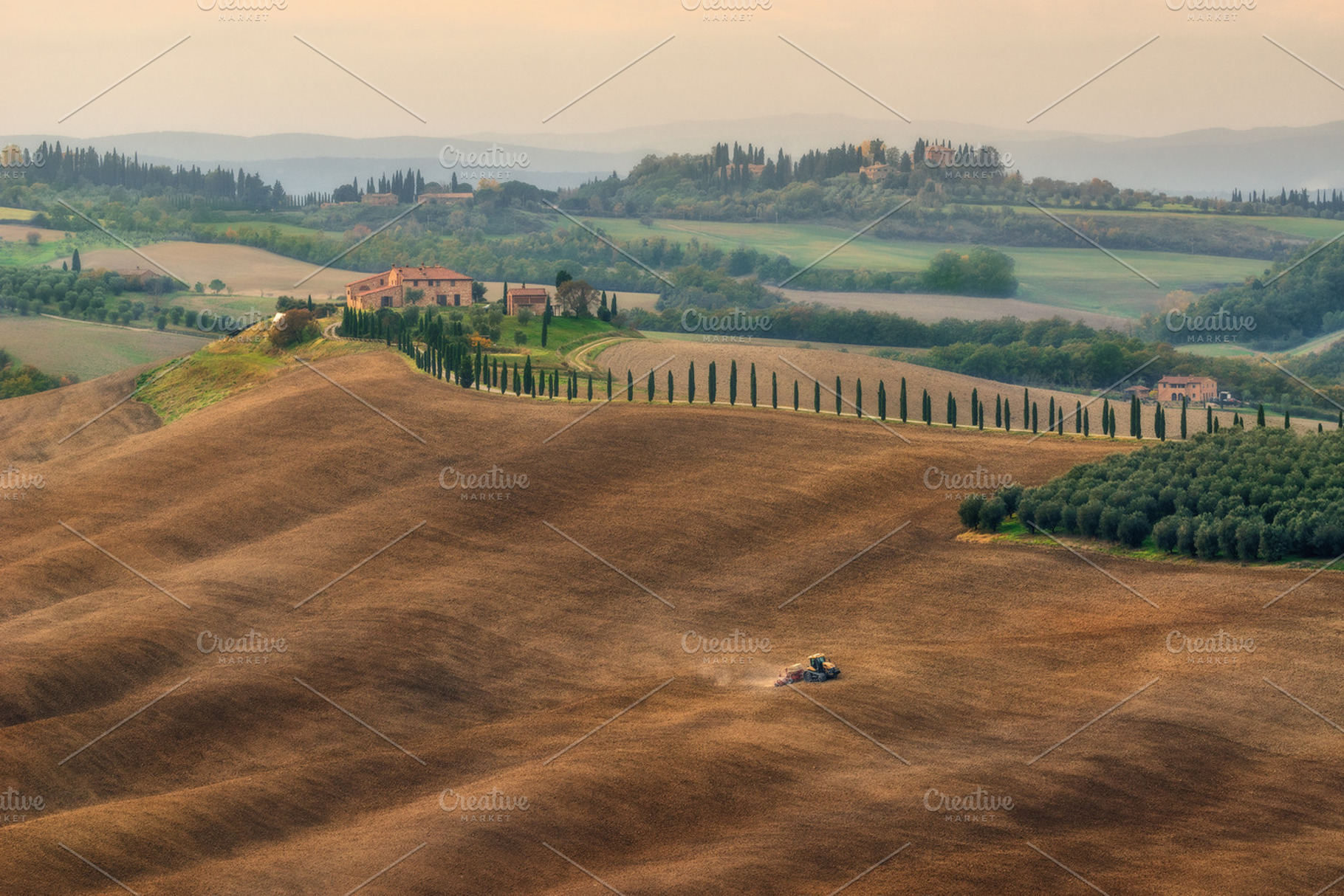 Villa agriturismo baccoleno web containing agriculture, agriturismo, and, a Nature Photo by naumenkophotographer