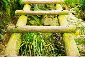 Hiking Ladder, a Nature Photo by THP Creative