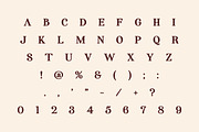 Deluxe Cowboy – Vintage Western, a Sans Serif Font by Limited.studio (Thumbnail 5 of 5)