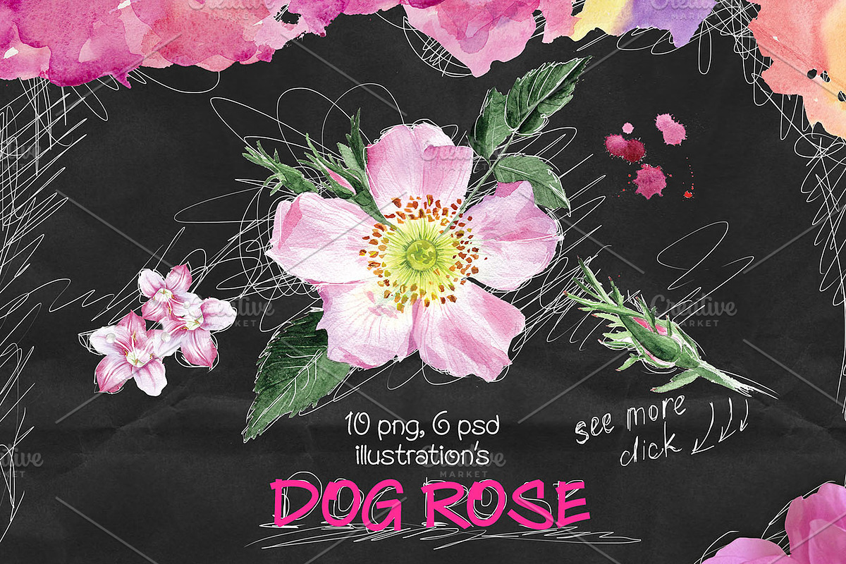 Over 120PNG watercolors, an Illustration by Alisa Mikibith Art (Photo 4 of 15)